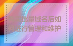 购买批量域名后如何进行管理和维护