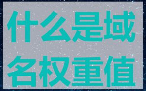 什么是域名权重值