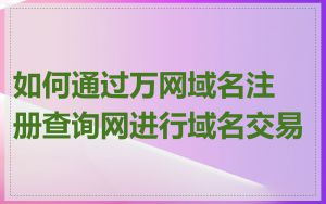 如何通过万网域名注册查询网进行域名交易