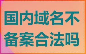 国内域名不备案合法吗