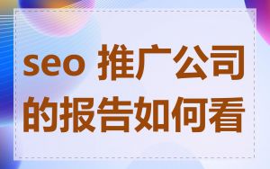 seo 推广公司的报告如何看