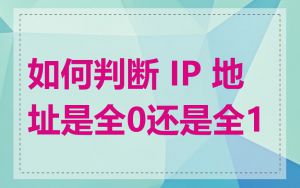 如何判断 IP 地址是全0还是全1