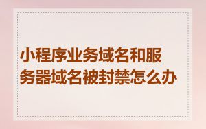 小程序业务域名和服务器域名被封禁怎么办