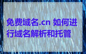 免费域名.cn 如何进行域名解析和托管