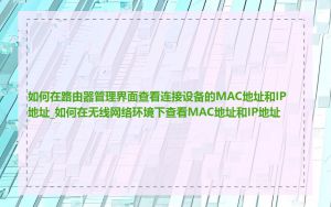如何在路由器管理界面查看连接设备的MAC地址和IP地址_如何在无线网络环境下查看MAC地址和IP地址
