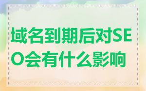 域名到期后对SEO会有什么影响