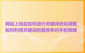 网站上线后如何进行关键词优化调整_如何利用关键词挖掘竞争对手的策略