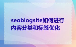seoblogsite如何进行内容分类和标签优化