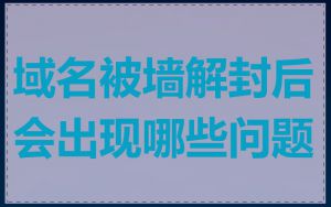 域名被墙解封后会出现哪些问题
