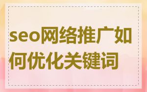 seo网络推广如何优化关键词