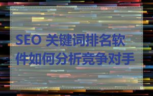 SEO 关键词排名软件如何分析竞争对手