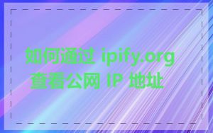 如何通过 ipify.org 查看公网 IP 地址