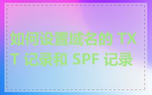 如何设置域名的 TXT 记录和 SPF 记录