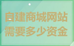 自建商城网站需要多少资金