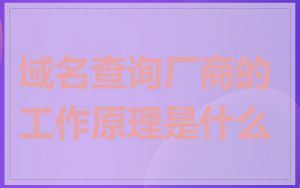 域名查询厂商的工作原理是什么