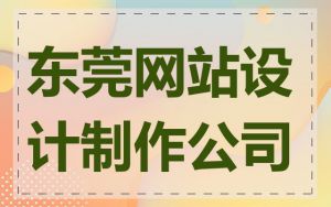 东莞网站设计制作公司