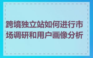跨境独立站如何进行市场调研和用户画像分析
