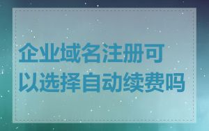 企业域名注册可以选择自动续费吗