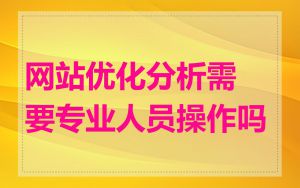 网站优化分析需要专业人员操作吗