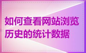 如何查看网站浏览历史的统计数据