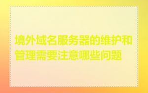 境外域名服务器的维护和管理需要注意哪些问题