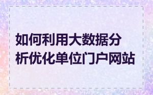 如何利用大数据分析优化单位门户网站