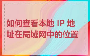 如何查看本地 IP 地址在局域网中的位置
