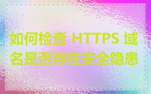 如何检查 HTTPS 域名是否存在安全隐患