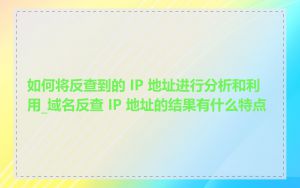 如何将反查到的 IP 地址进行分析和利用_域名反查 IP 地址的结果有什么特点