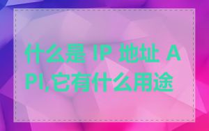 什么是 IP 地址 API,它有什么用途