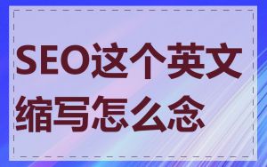 SEO这个英文缩写怎么念