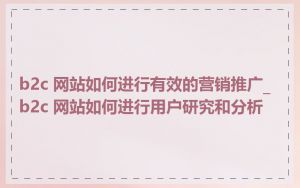 b2c 网站如何进行有效的营销推广_b2c 网站如何进行用户研究和分析