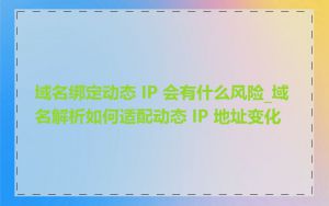 域名绑定动态 IP 会有什么风险_域名解析如何适配动态 IP 地址变化