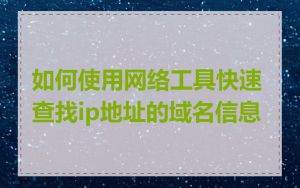 如何使用网络工具快速查找ip地址的域名信息