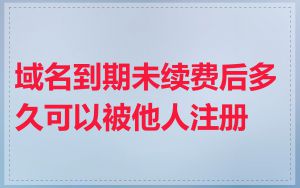 域名到期未续费后多久可以被他人注册
