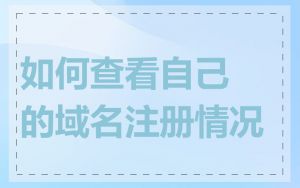 如何查看自己的域名注册情况