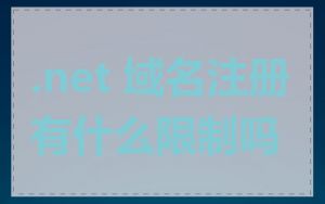 .net 域名注册有什么限制吗