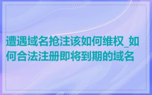 遭遇域名抢注该如何维权_如何合法注册即将到期的域名