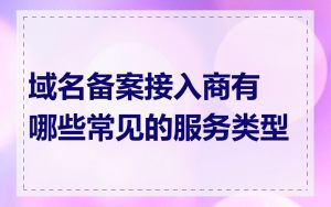 域名备案接入商有哪些常见的服务类型