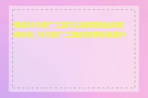 哪些SEO推广工具可以提高网站关键词排名_SEO推广工具的收费标准是什么