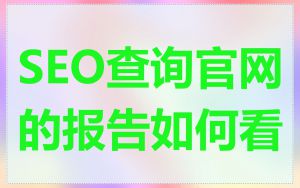 SEO查询官网的报告如何看