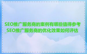 SEO推广服务商的案例有哪些值得参考_SEO推广服务商的优化效果如何评估