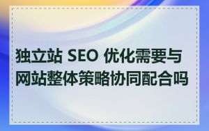 独立站 SEO 优化需要与网站整体策略协同配合吗