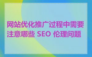 网站优化推广过程中需要注意哪些 SEO 伦理问题
