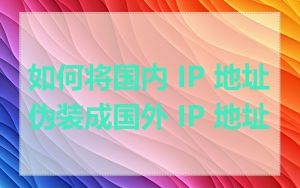 如何将国内 IP 地址伪装成国外 IP 地址