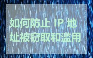如何防止 IP 地址被窃取和滥用