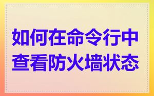 如何在命令行中查看防火墙状态