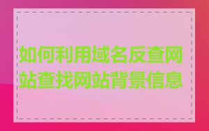 如何利用域名反查网站查找网站背景信息