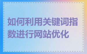 如何利用关键词指数进行网站优化