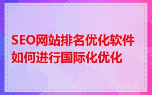 SEO网站排名优化软件如何进行国际化优化
